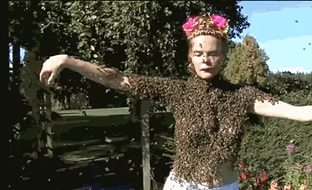 <center><b>Американка носит костюм из живых пчёл</center></b>