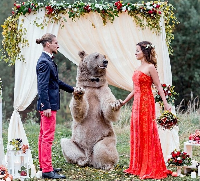 Пару из Москвы поженил медведь