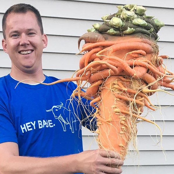 Самая большая в мире морковка