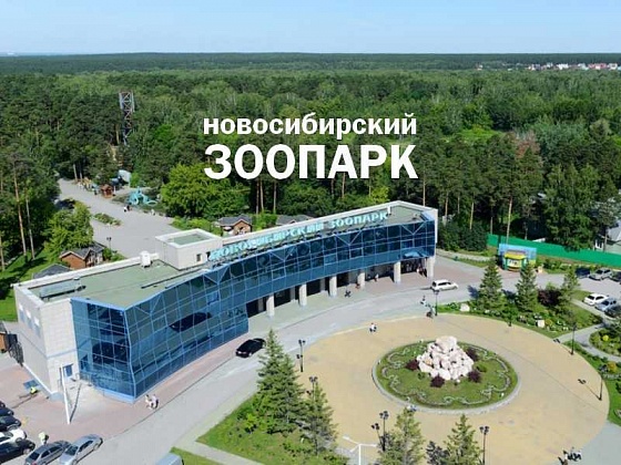 В Новосибирском зоопарке появились саки