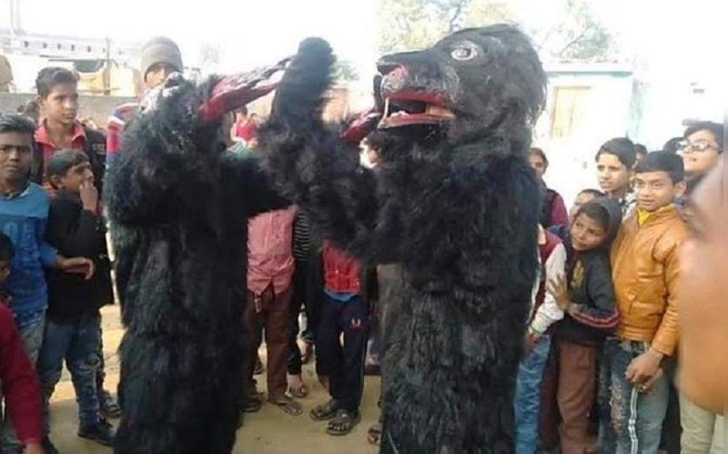 Жители Индии в костюме медведей решили запугать обезьян