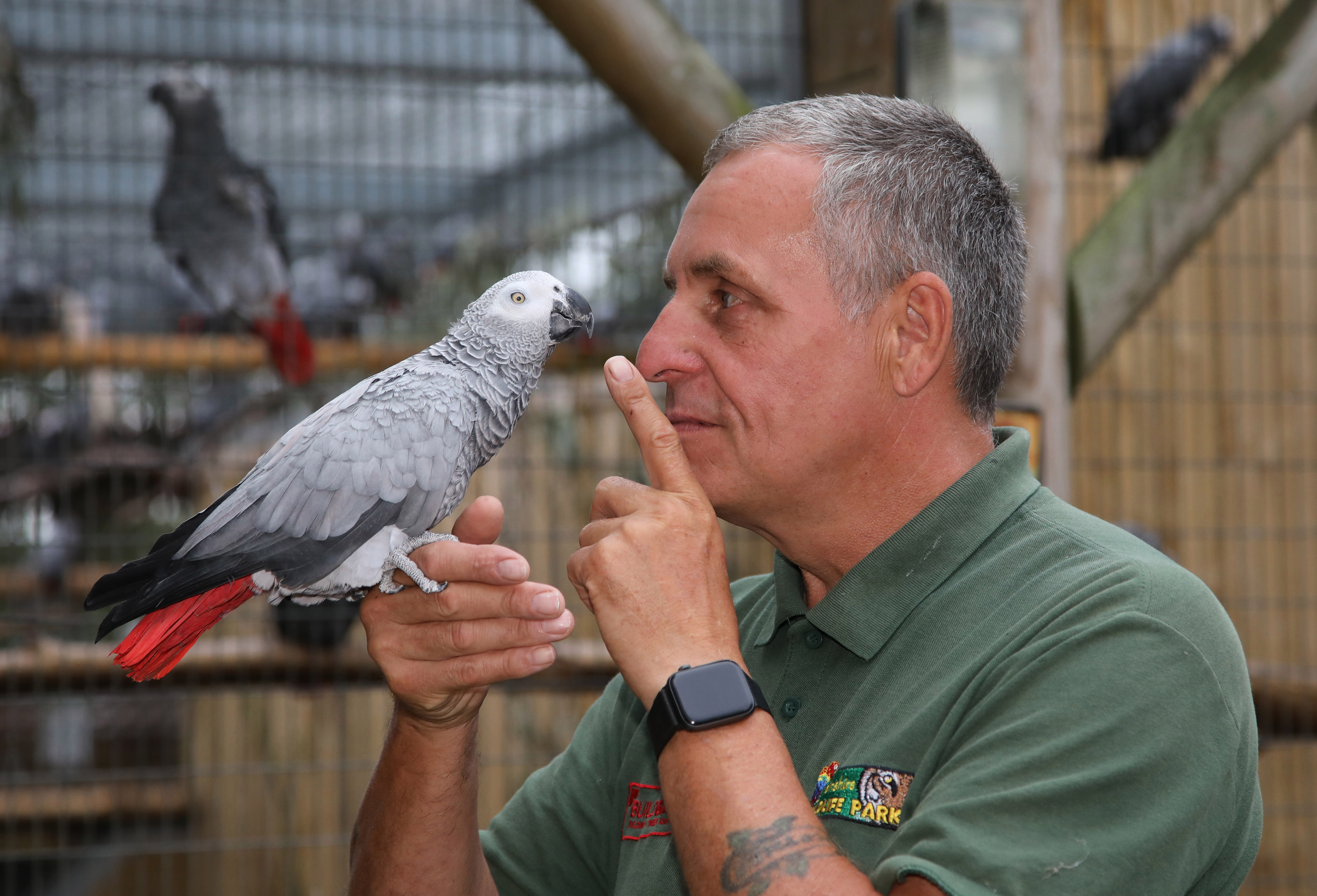 В британском зоопарке попугаям запретили материть публику