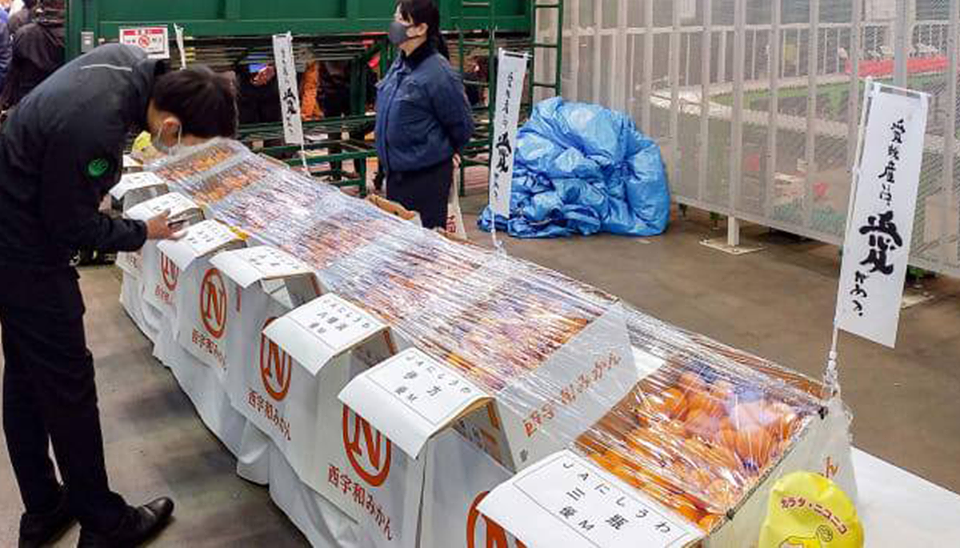 В Японии аноним купил ящик мандаринов за 755 тысяч рублей