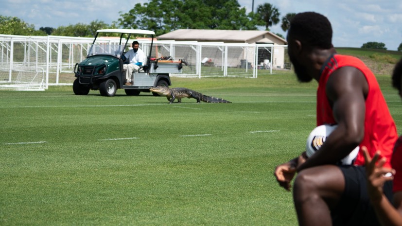 Канадский футбольный клуб подписал контракт с крокодилом