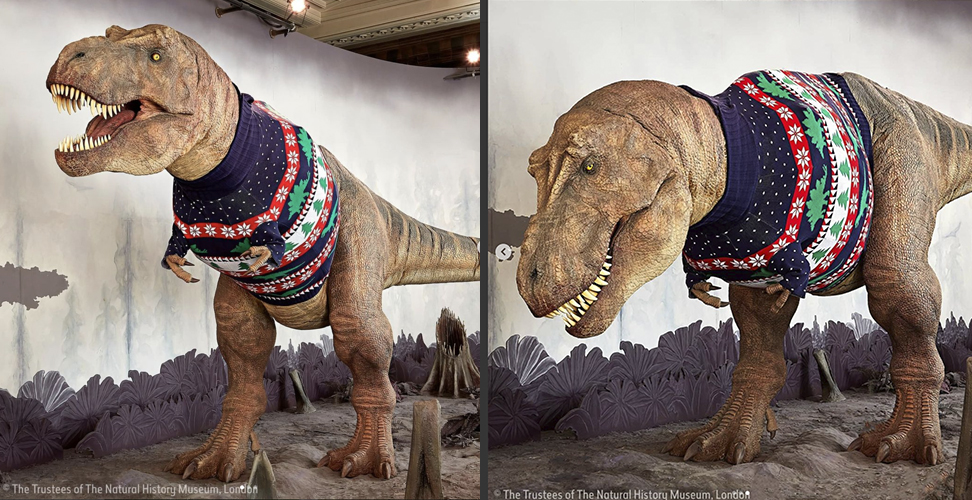 В Британии динозавра нарядили в свитер